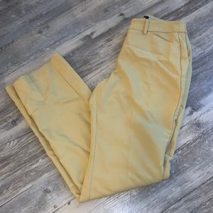 Express pants / mid rise